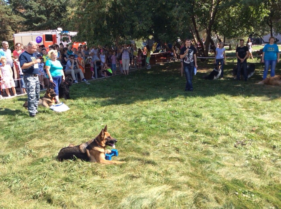 В рамках детского праздника, посвящённого Дню знаний, состоялись показательные выступления собак