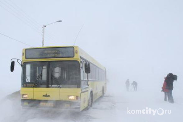 Первые муниципальные автобусы вышли на маршруты