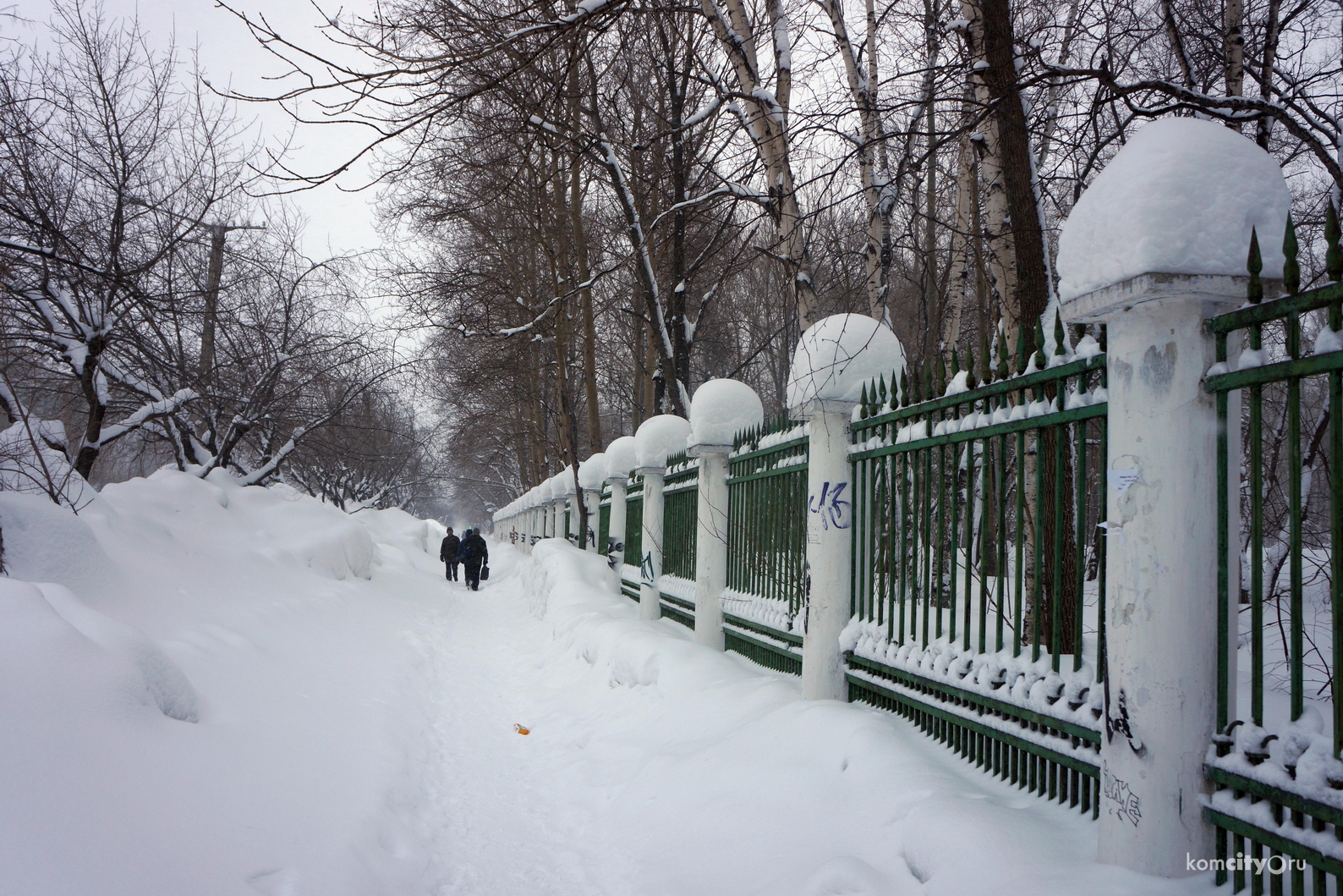 В Комсомольске создадут рабочую группу по развитию городских парков