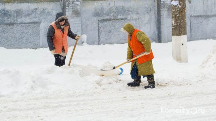 4 “управляйки” попались на некачественной чистке дворов