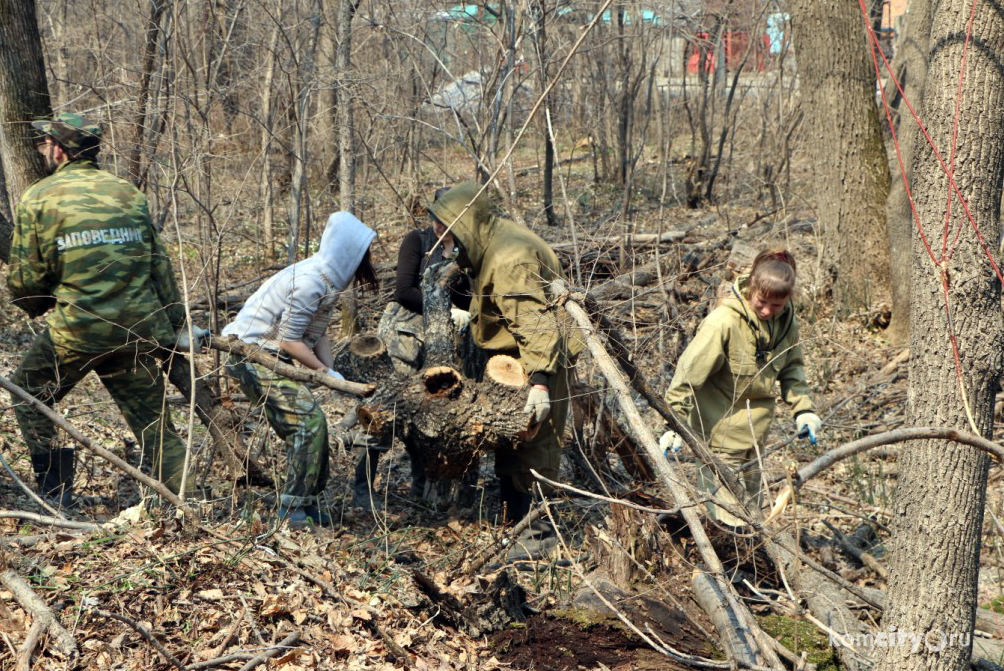 Комсомольский заповедник приглашает волонтёров на уборку Силинского леса