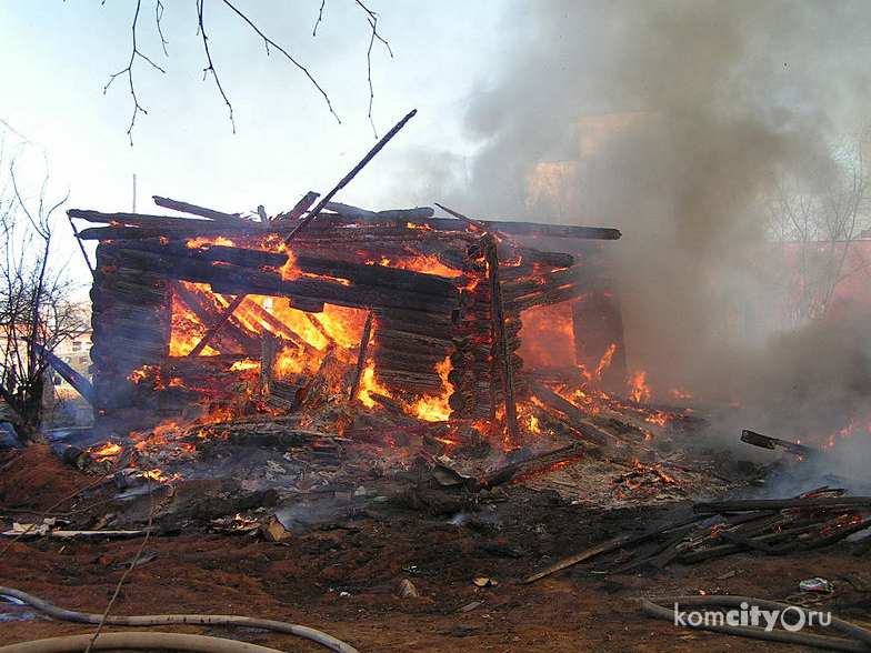 Во время пожара в посёлке Горный погибли куры