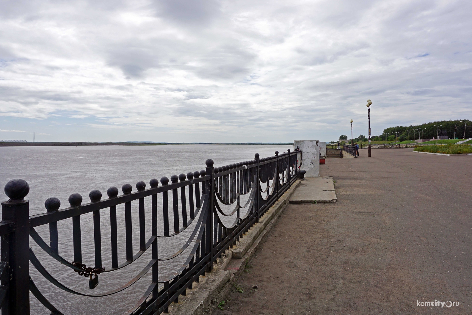 Нетрезвый водитель, пытаясь скрыться от инспекторов, прыгнул с причала в Амур и чуть не утонул