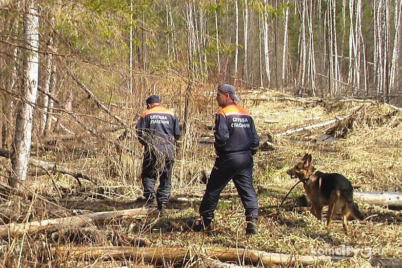 Пропавших неделю назад на Даппах грибников так и не нашли