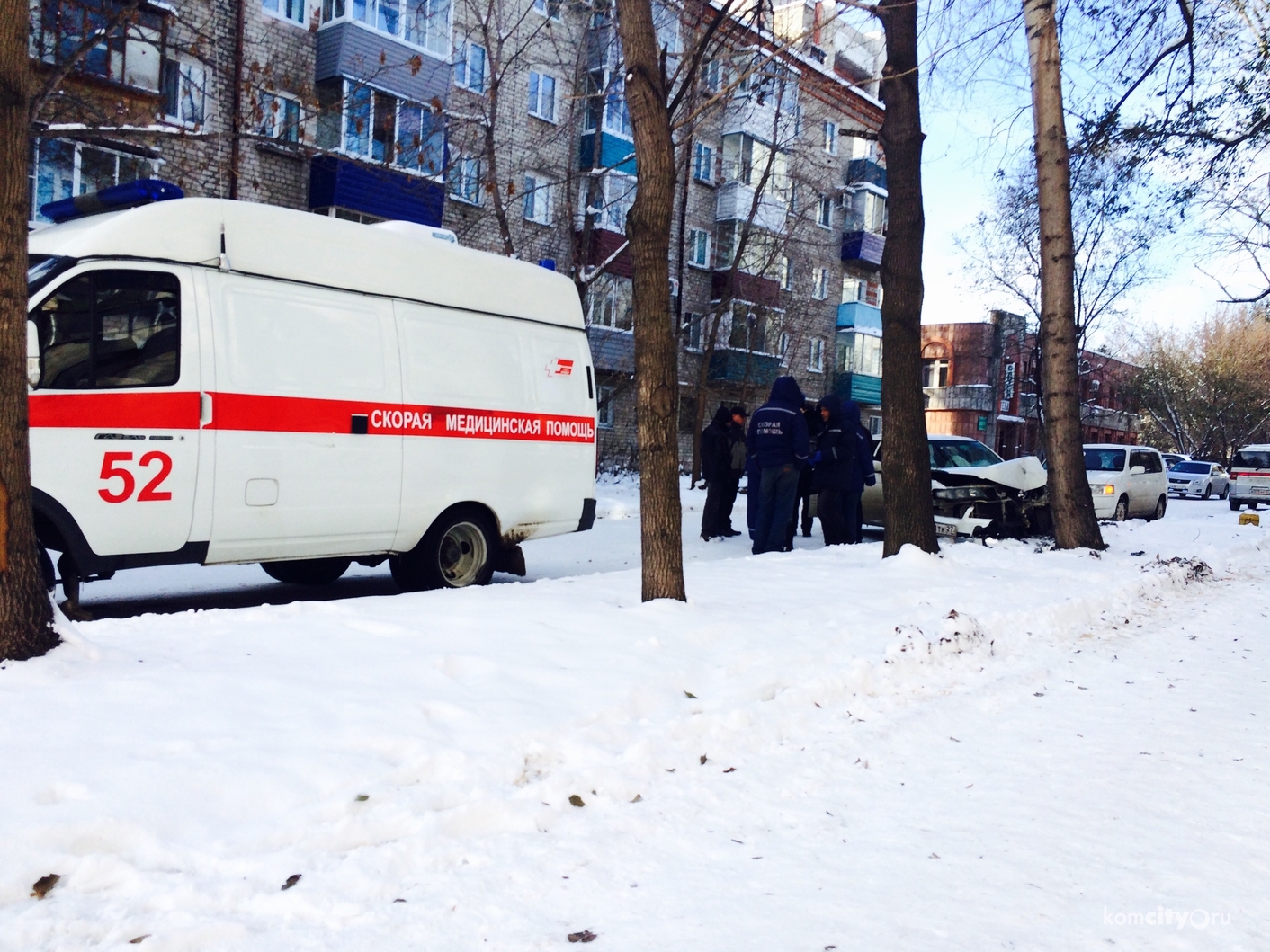 Инфаркт за рулём: на улице Севастопольской машина, водителю которой стало плохо, врезалась в дерево