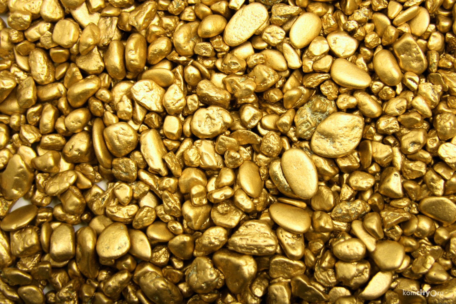 Геологи ищут золото под Комсомольском