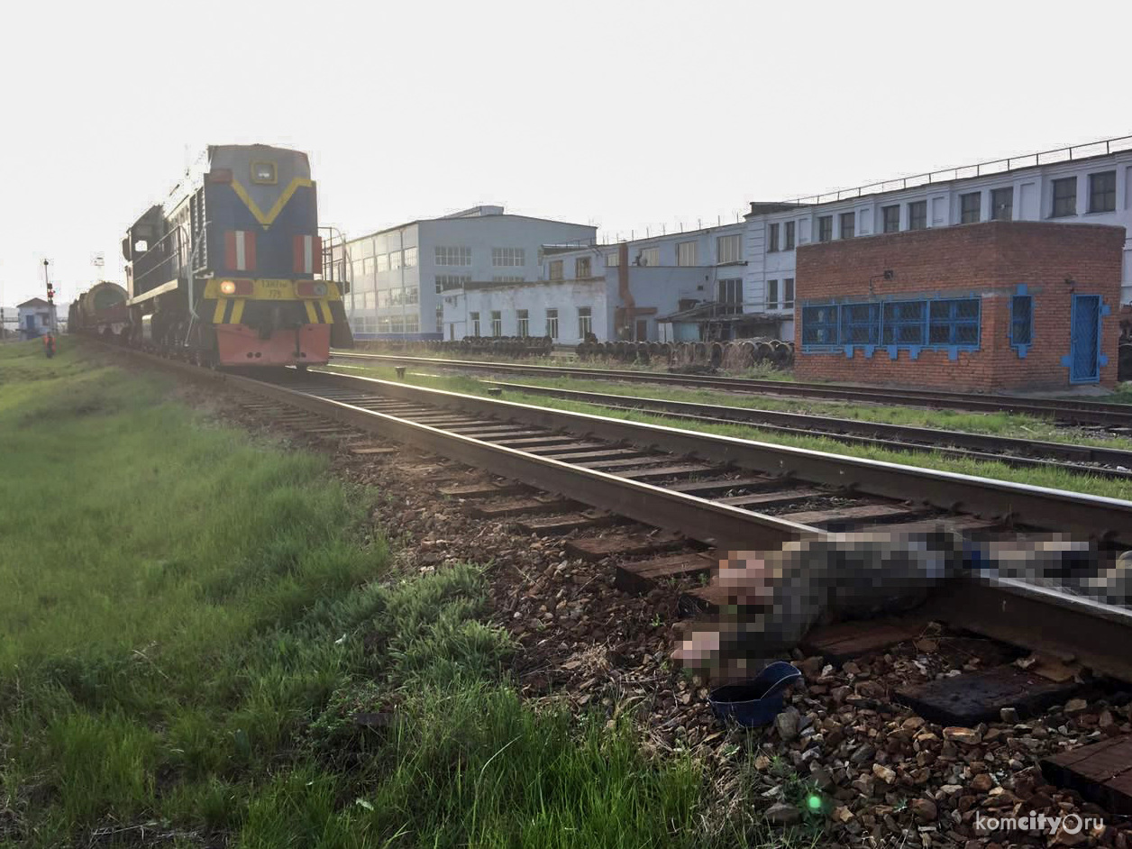 В Комсомольске-на-Амуре поезд перерезал мужчину пополам