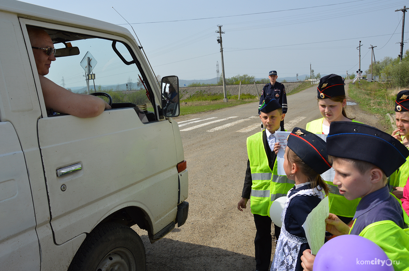 В Хабаровском крае стартует операция «Внимание, дети!», призванная не допустить травмирования детей на дорогах