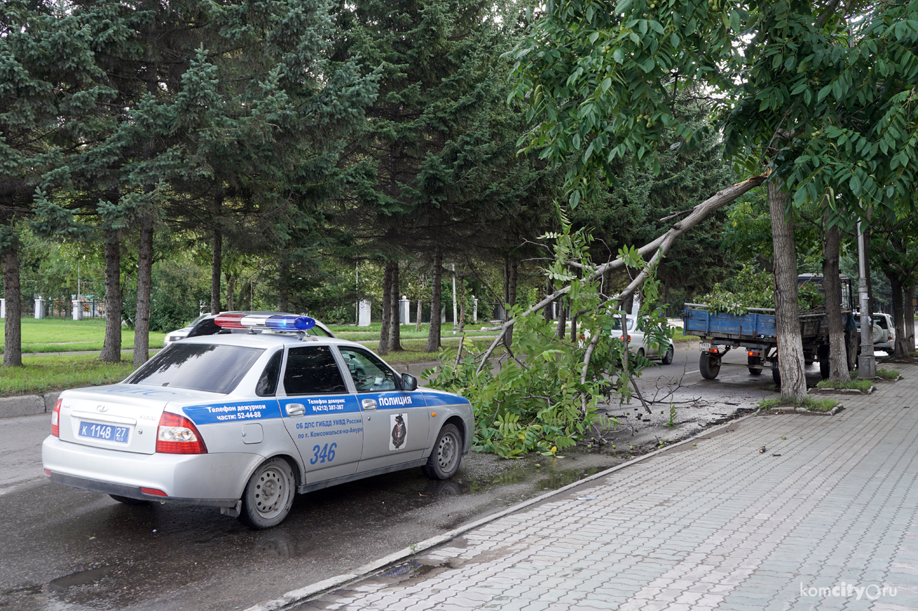 Сильным ветром дерево повалило на проезжую часть Аллеи Труда