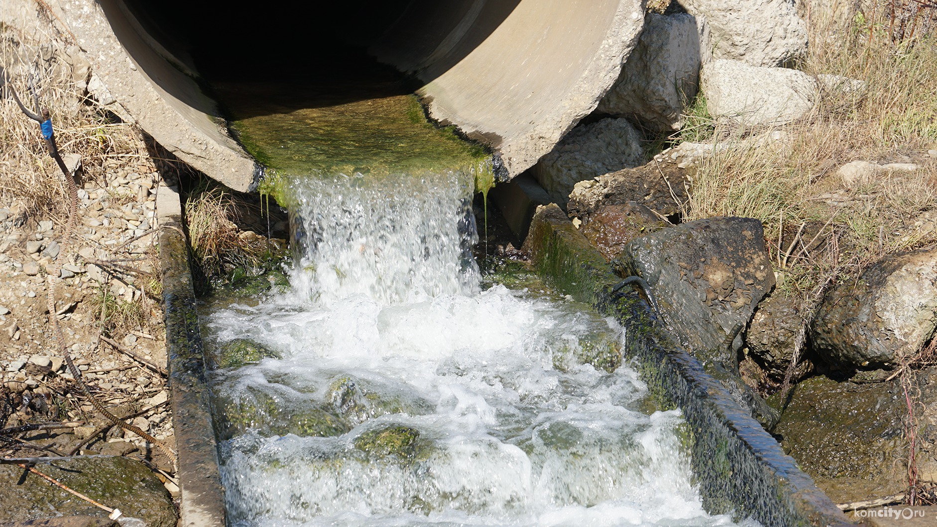 Качество воды в Амуре во время прохождения «фекального пятна» мимо Комсомольска не изменилось