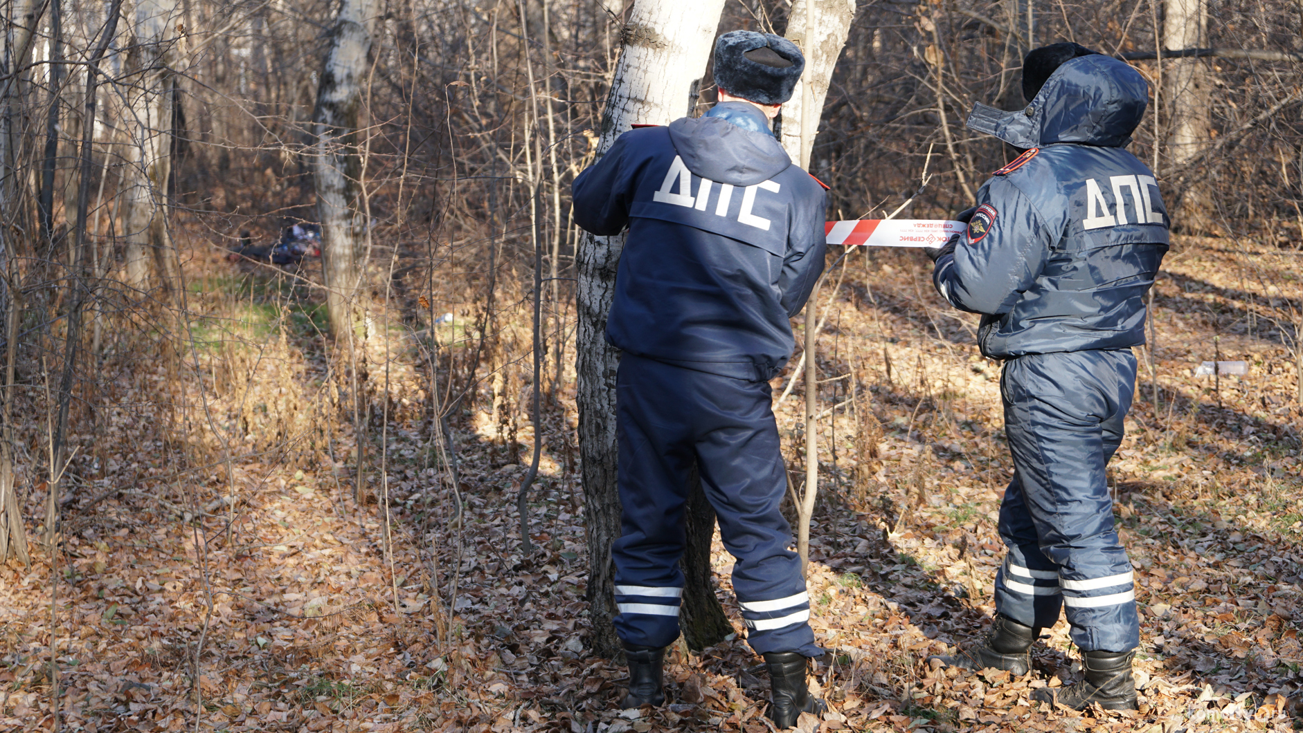 Найденное в парке обезглавленное тело принадлежит 19-летнему Артёму Шустову