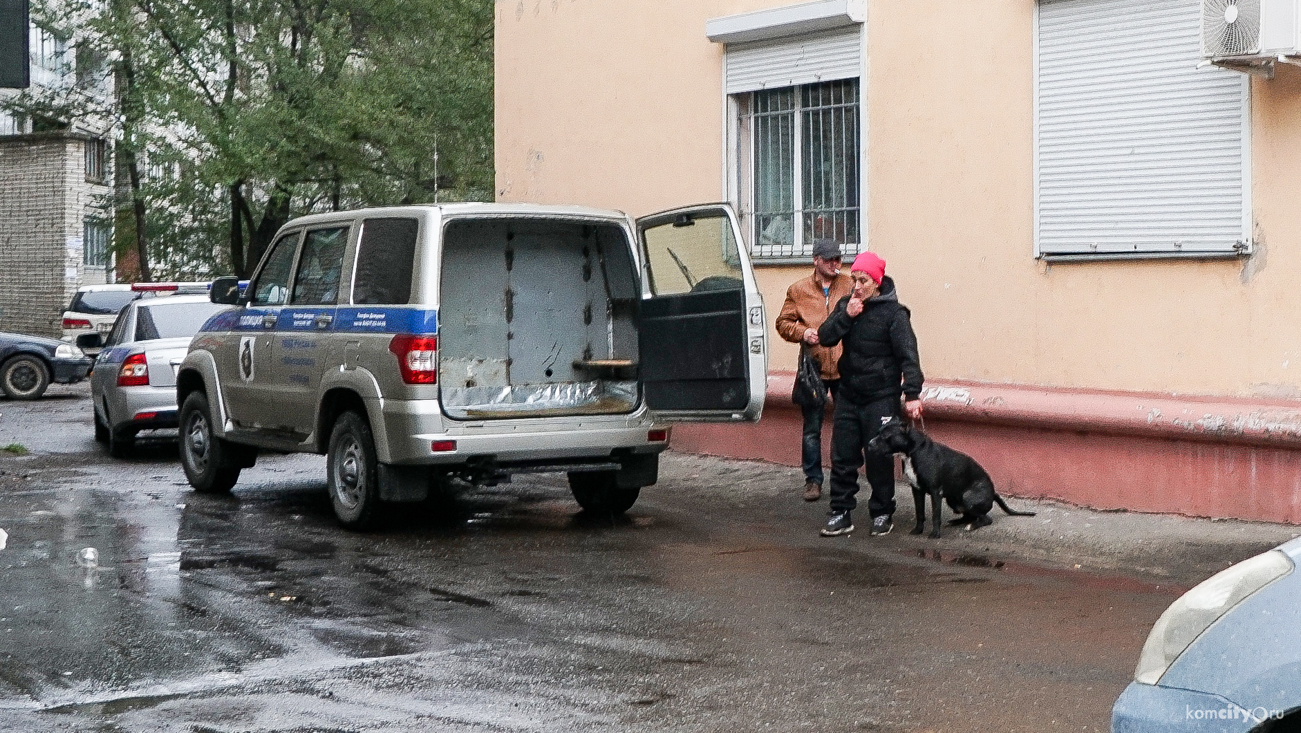 Пьяные хозяева натравили бойцовского пса на прохожих