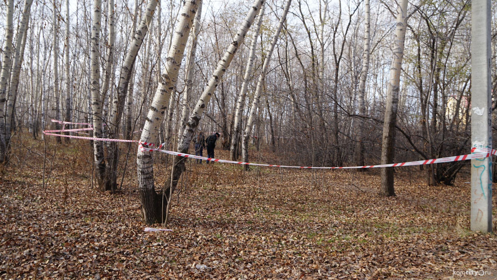 Голову убитого комсомольчанина нашли в ходе поисковой операции