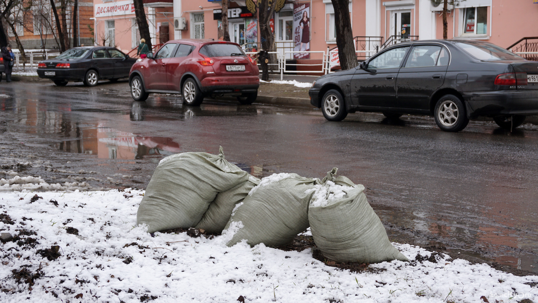 В апреле в Комсомольске проведут два субботника, 22 и 29 апреля