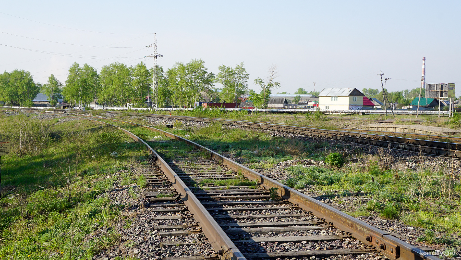 Возле Амурского моста поезд насмерть сбил двух человек