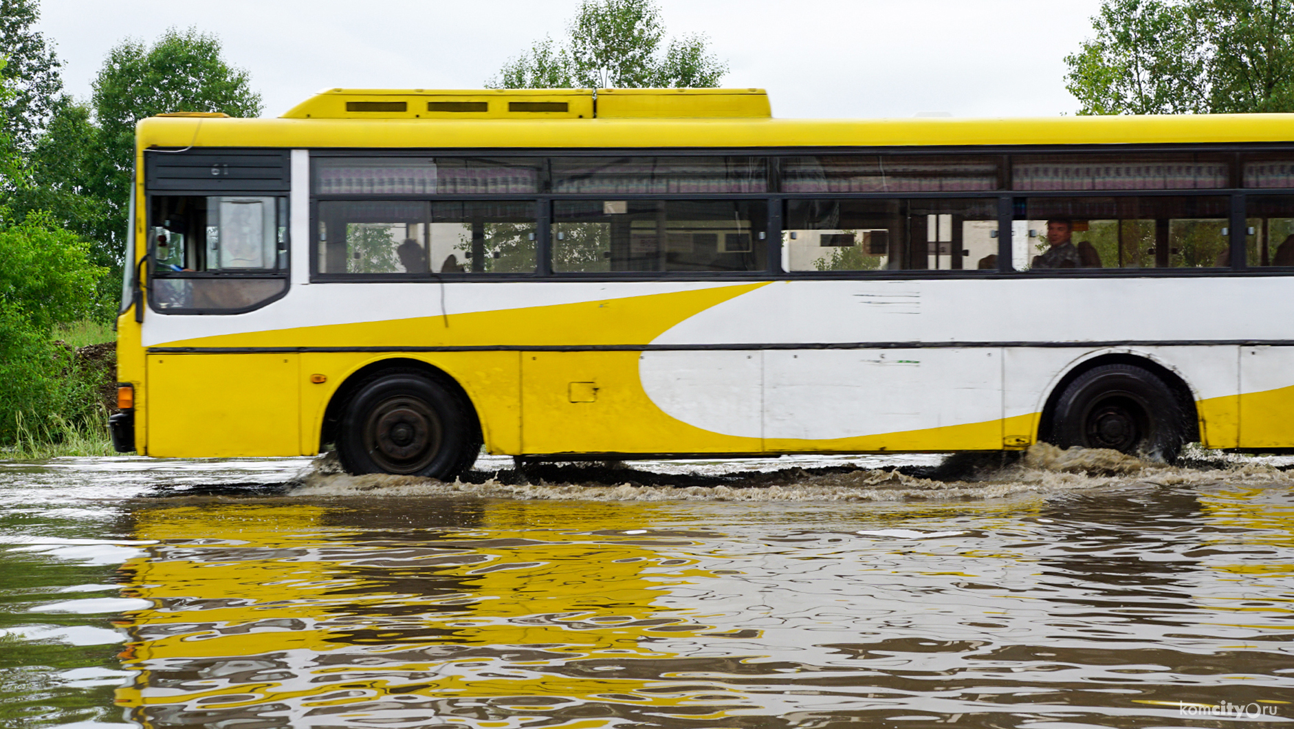 20 новых низкопольных автобусов выйдут на маршруты до конца лета