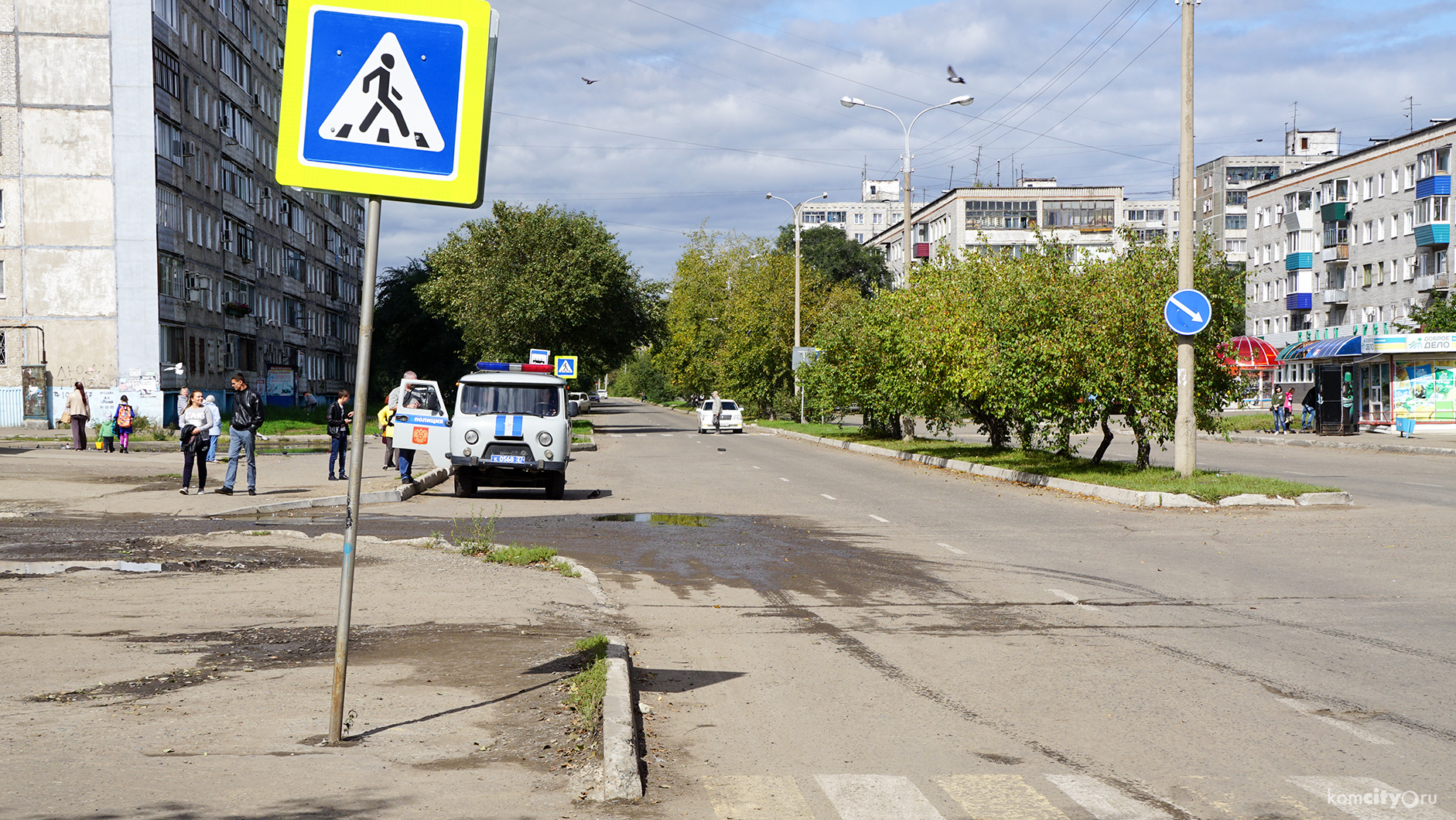 На Гамарника на пешеходном переходе сбили девушку