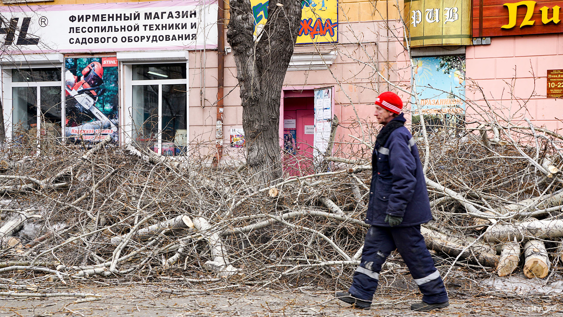 До 15 апреля в Комсомольске обрежут 2 тысячи деревьев