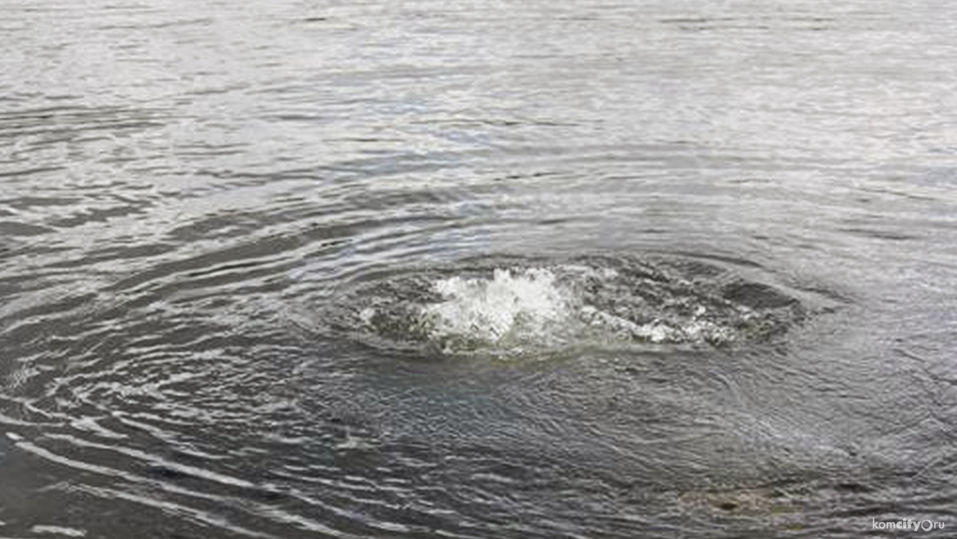 В Верхней Экони микроавтобус с людьми скатился в воду, есть погибшие