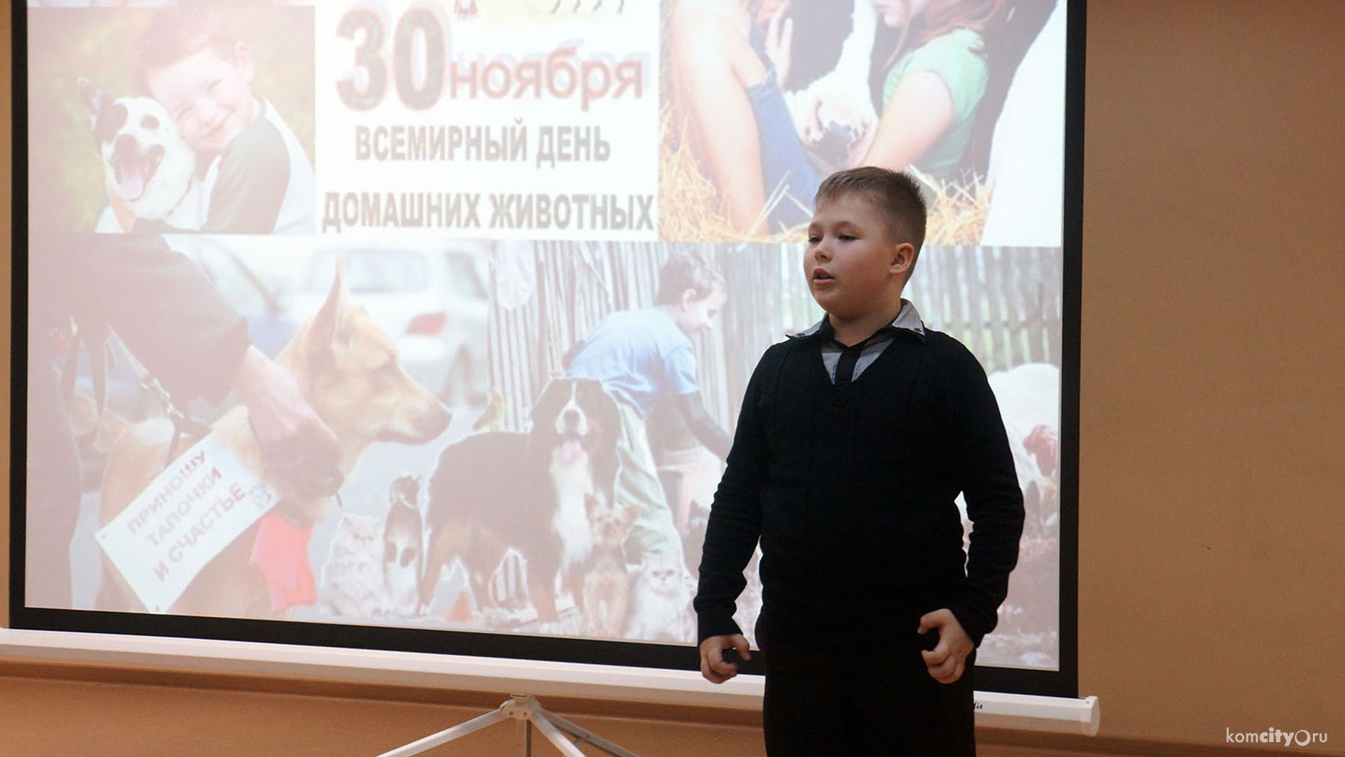 Стихи собственного сочинения прочитали школьники на поэтическом конкурсе в честь Дня защиты животных