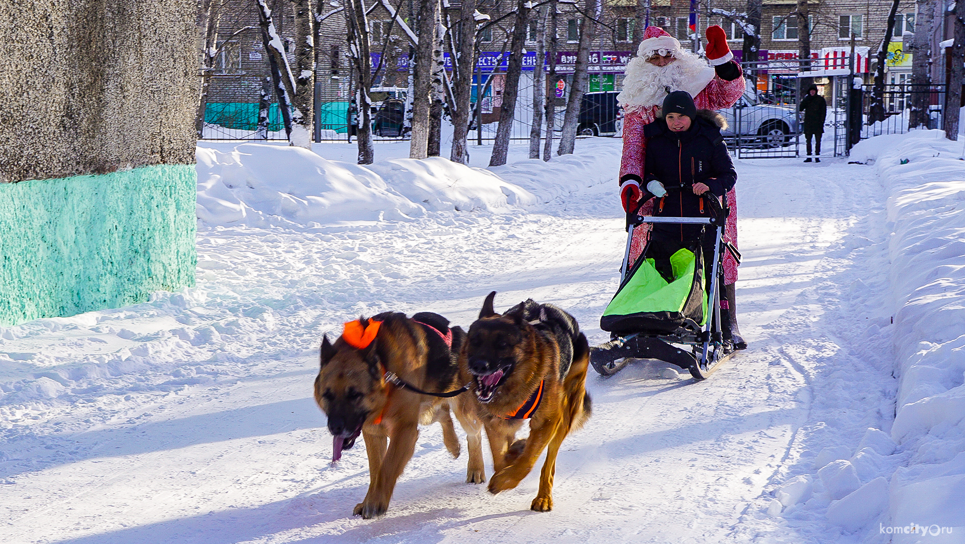 Дед Мороз покатал воспитанников детдома на собаках в рамках предновогоднего праздника