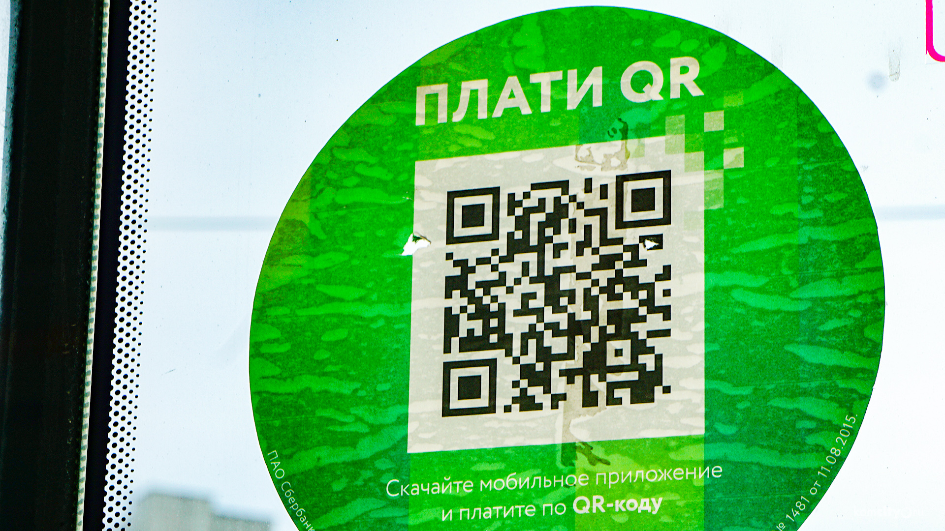 В автобусах №17, 20, 21 и 27 теперь можно расплатиться за билет по QR-коду — но не во всех