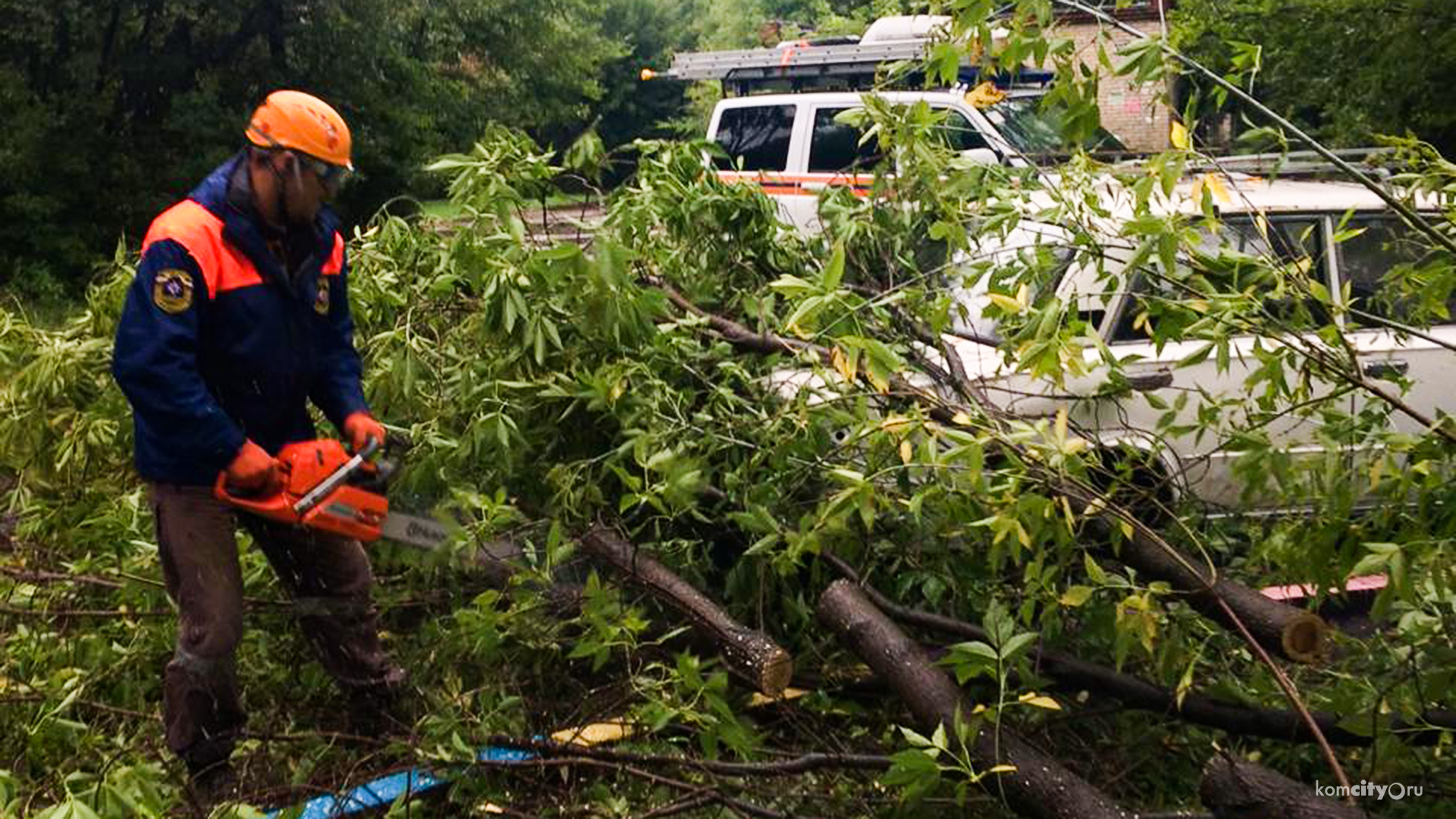 На Дзёмгах упавший тополь придавил Жигули с водителем