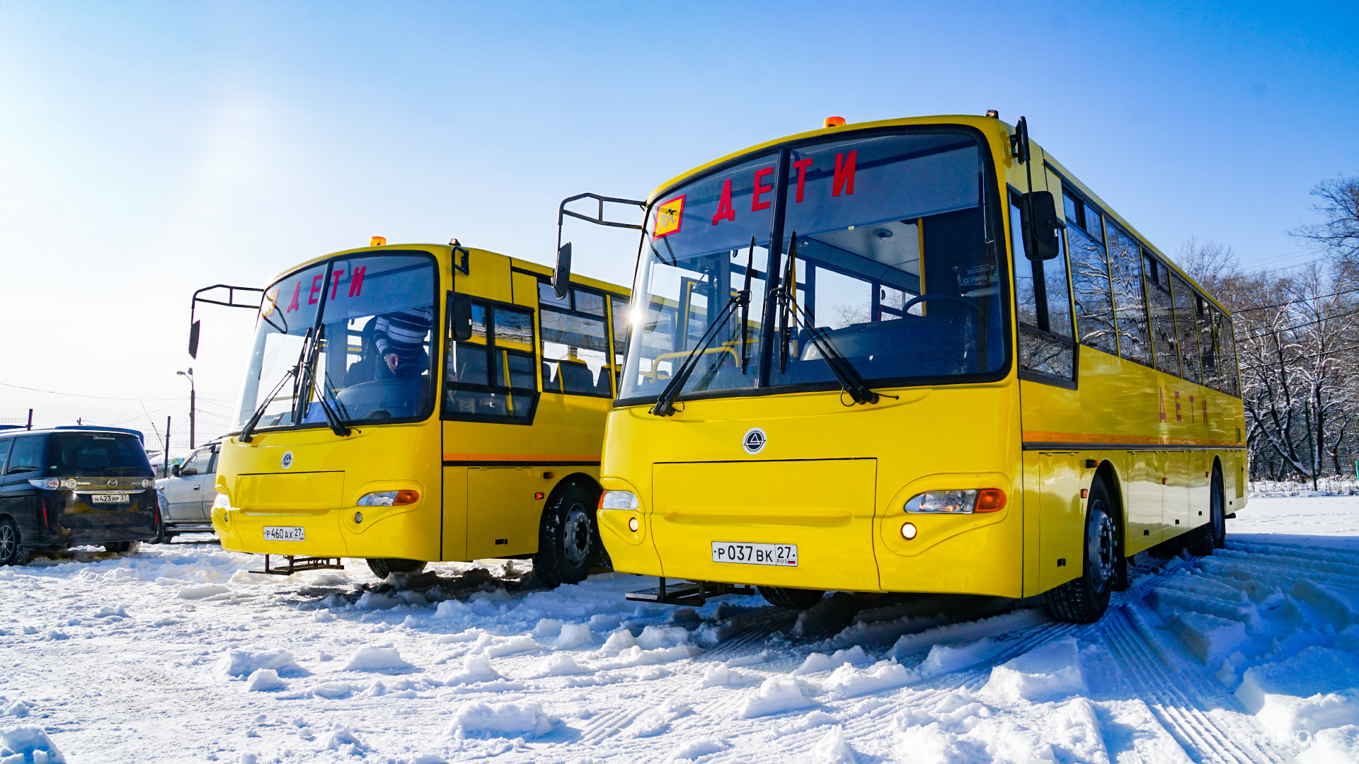 Два новых автобуса для перевозки детей прибыли в Комсомольск