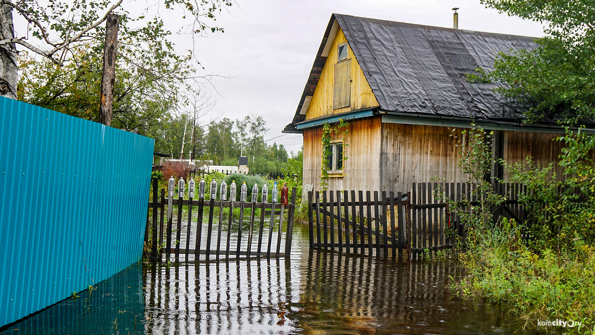 Больше шести тысяч дачников получат компенсацию за затопленные в прошлом году участки, приём документов продолжается