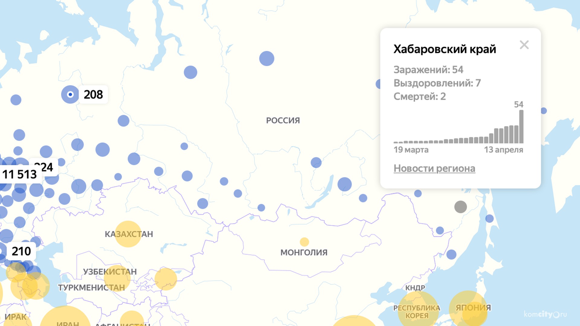 Краевой минздрав что-то скрывает? Его данные по заражению коронавирусом существенно отличаются от федеральных в меньшую сторону