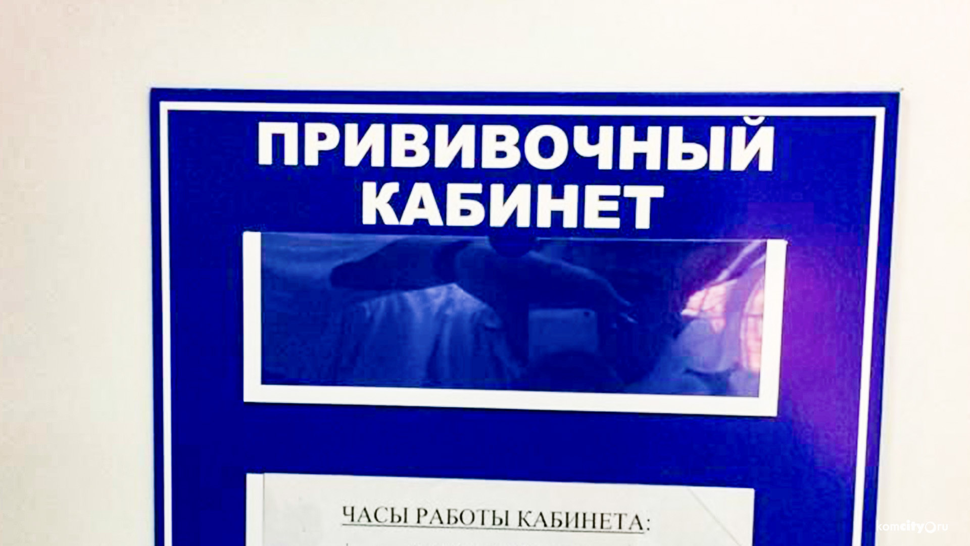 Прививочная кампания против клещевого энцефалита начнётся не ранее 30 апреля