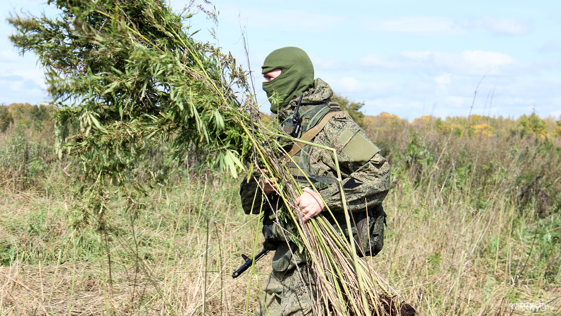 Военные казнокрады и наркоманы отделываются незначительными штрафами