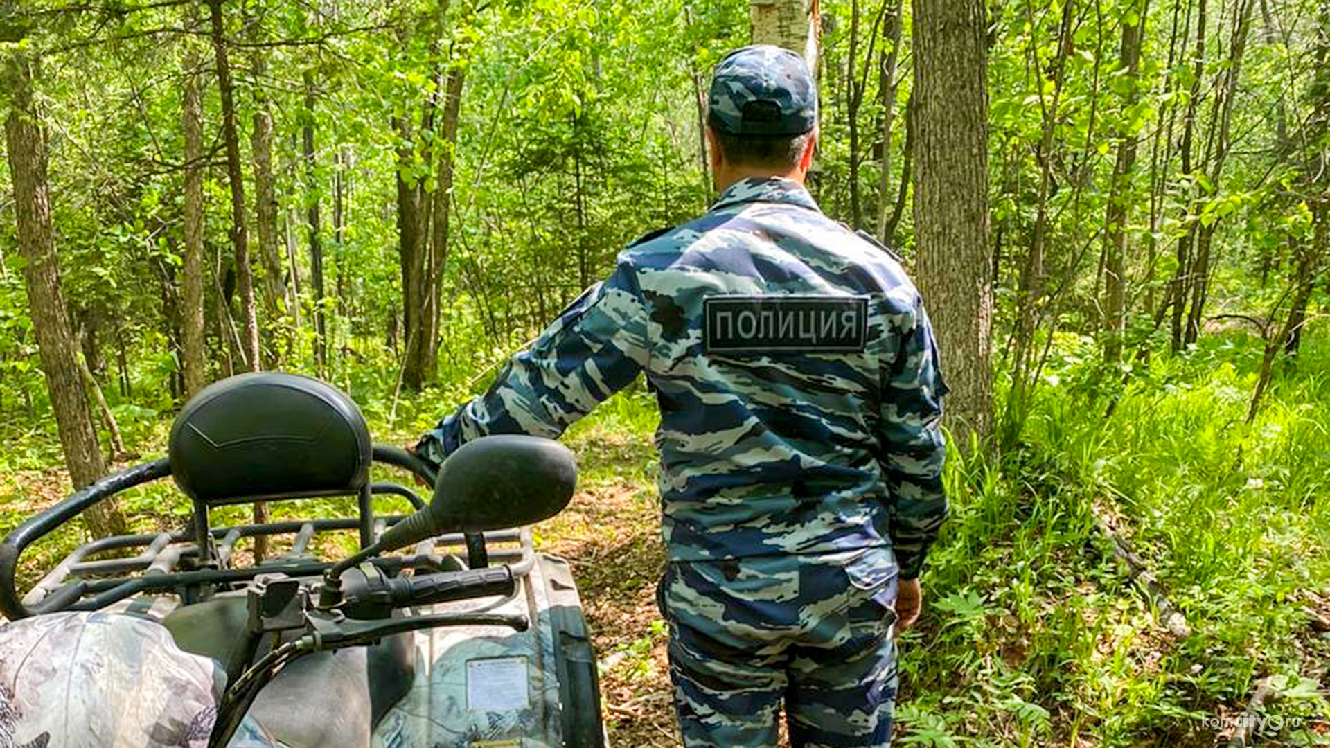 Полиция и охотоведы прочесали территорию Силинского леса в поисках медведя