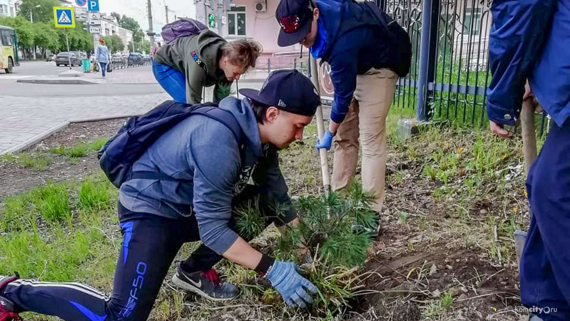 «Планета Тайга» к празднику высадила деревья на проспекте Ленина и в сквере на Набережной