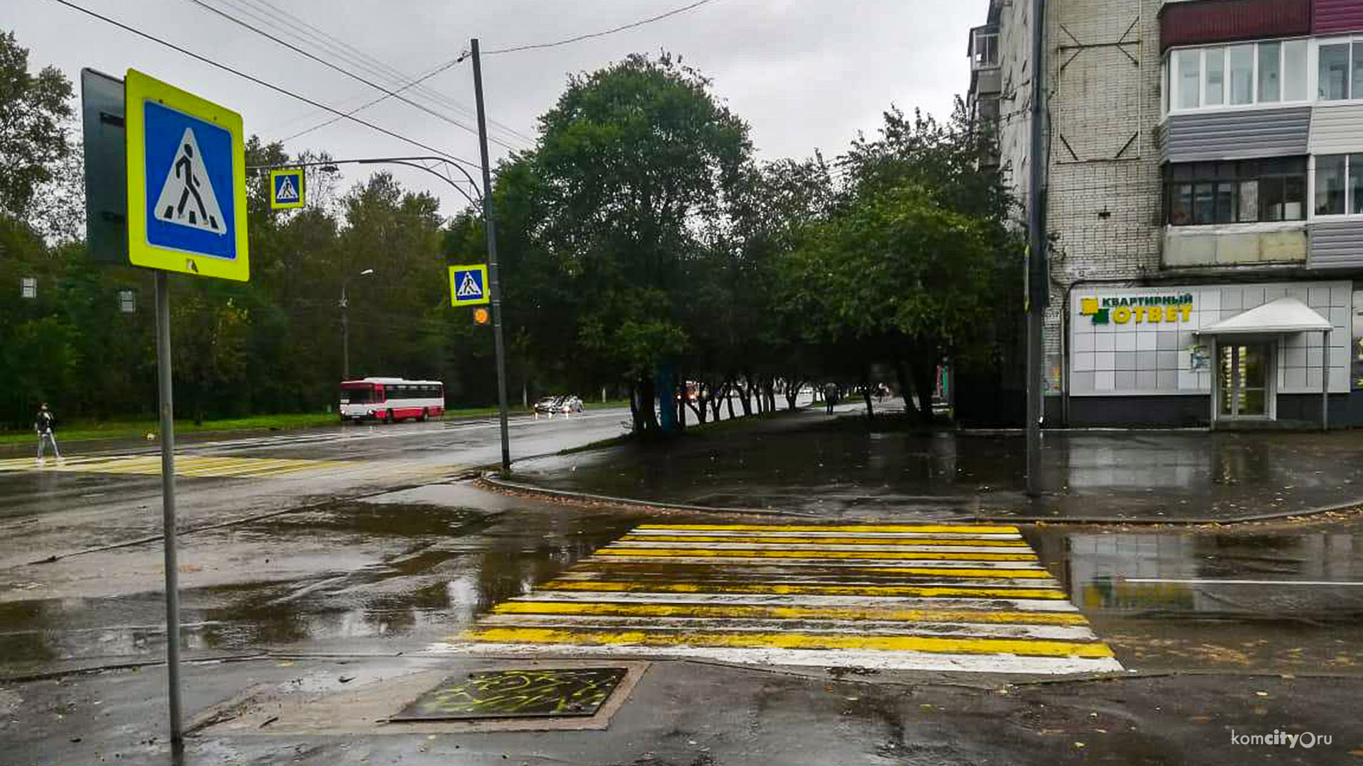 ГИБДД разыскивает водителя, сбившего пешехода на Васянина и скрывшегося с места наезда