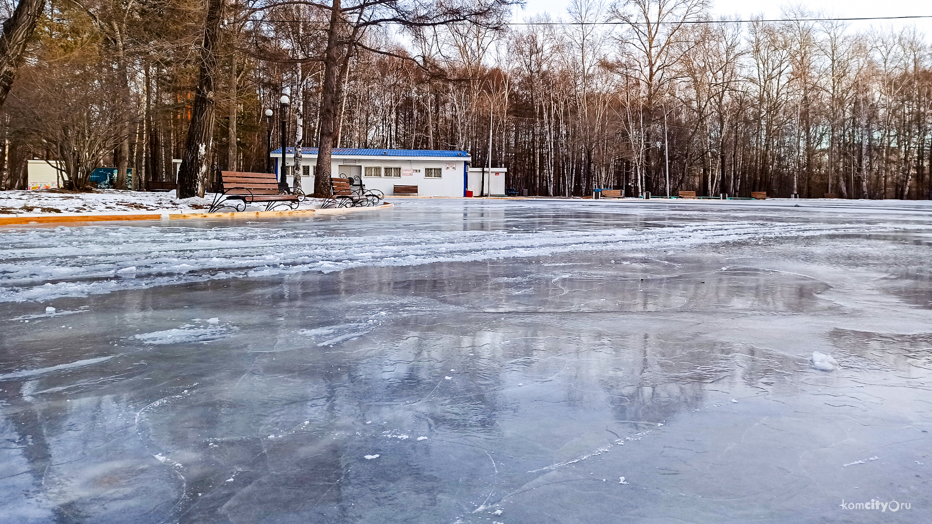 Со следующих выходных в парке Гагарина заработает каток