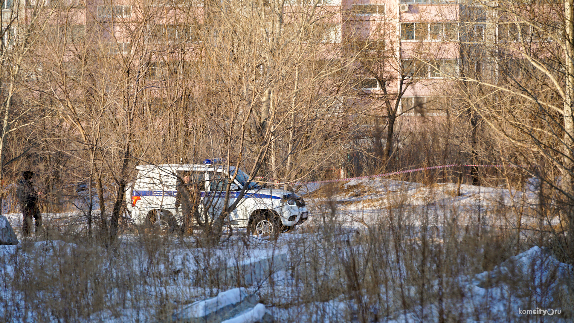 В лесополосе между Победы и Московским обнаружено тело мужчины, повешенное на дереве