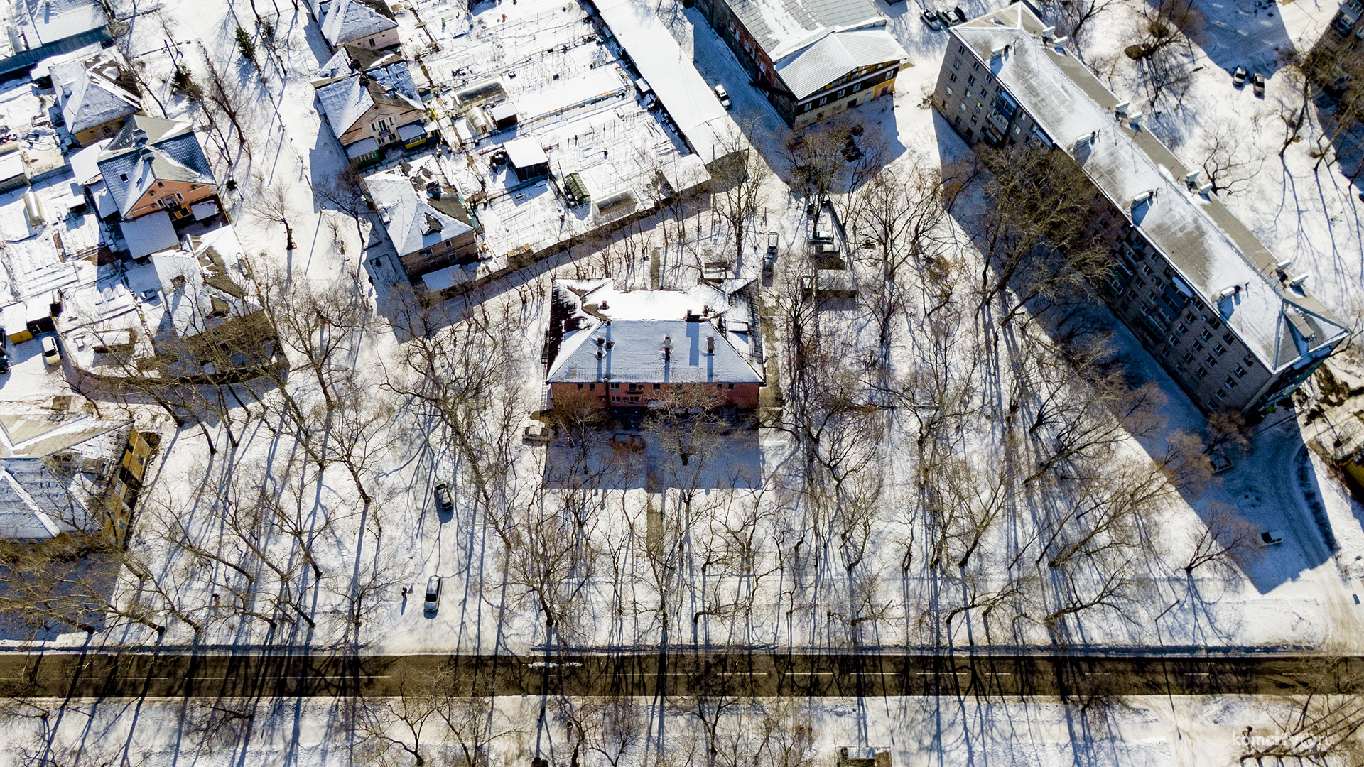 На средства, выделенные на озеленение, снесут и выкорчуют сотню деревьев. Высаживать ничего не будут.