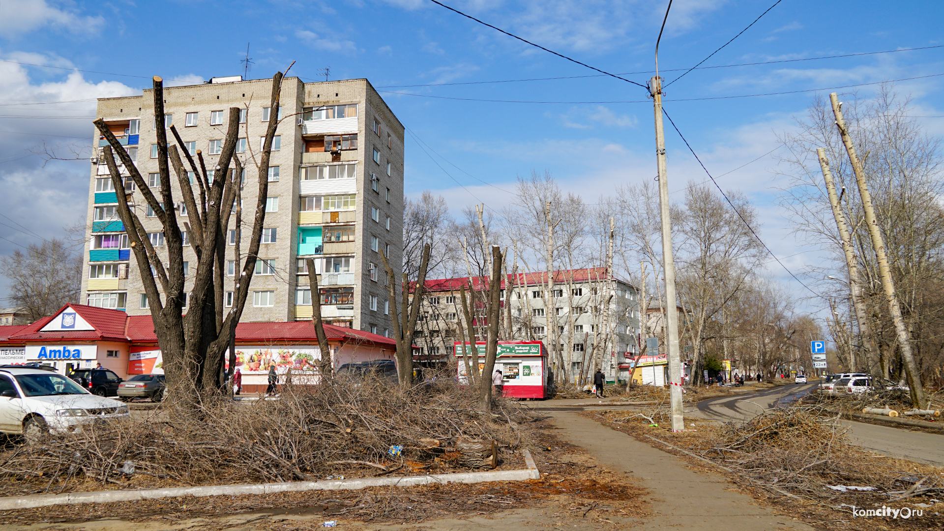 Варварскую обрезку деревьев в Комсомольске решено прекратить