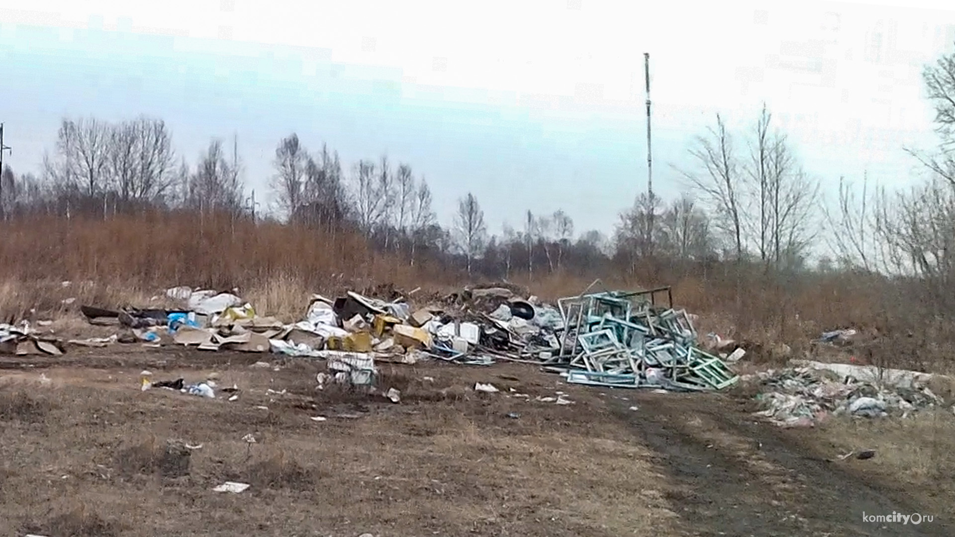 На ликвидацию несанкционированных свалок затрятят миллион, но есть странность