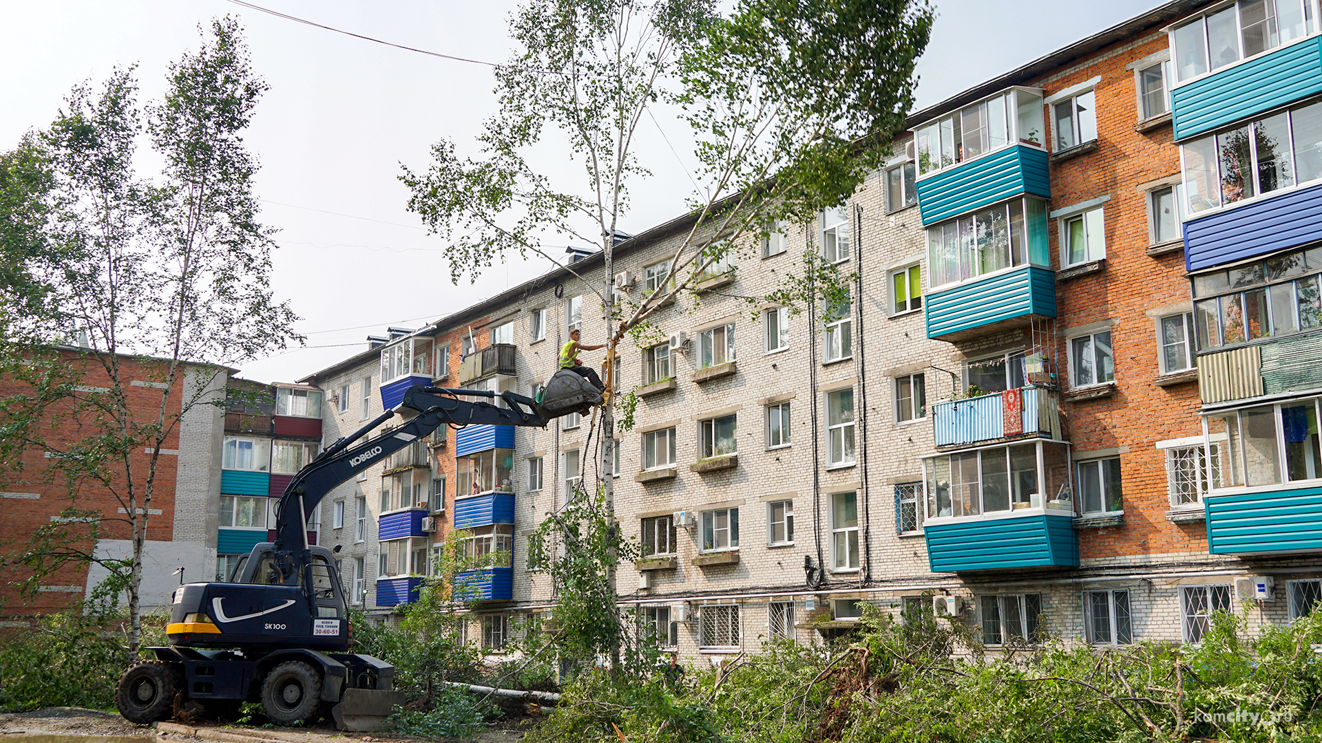 Во дворах из засекреченного администрацией списка благоустройство началось с варварских и инновационных методов сноса деревьев