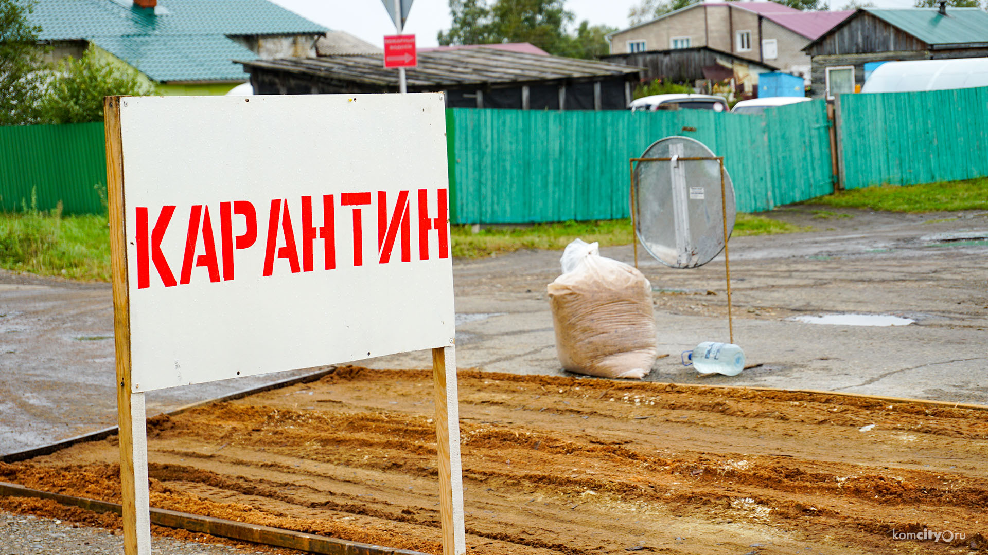 Из-за чумы свиней карантин ввели на Пивани, в Вознесенском, на Верхней Экони и в Новом Мире