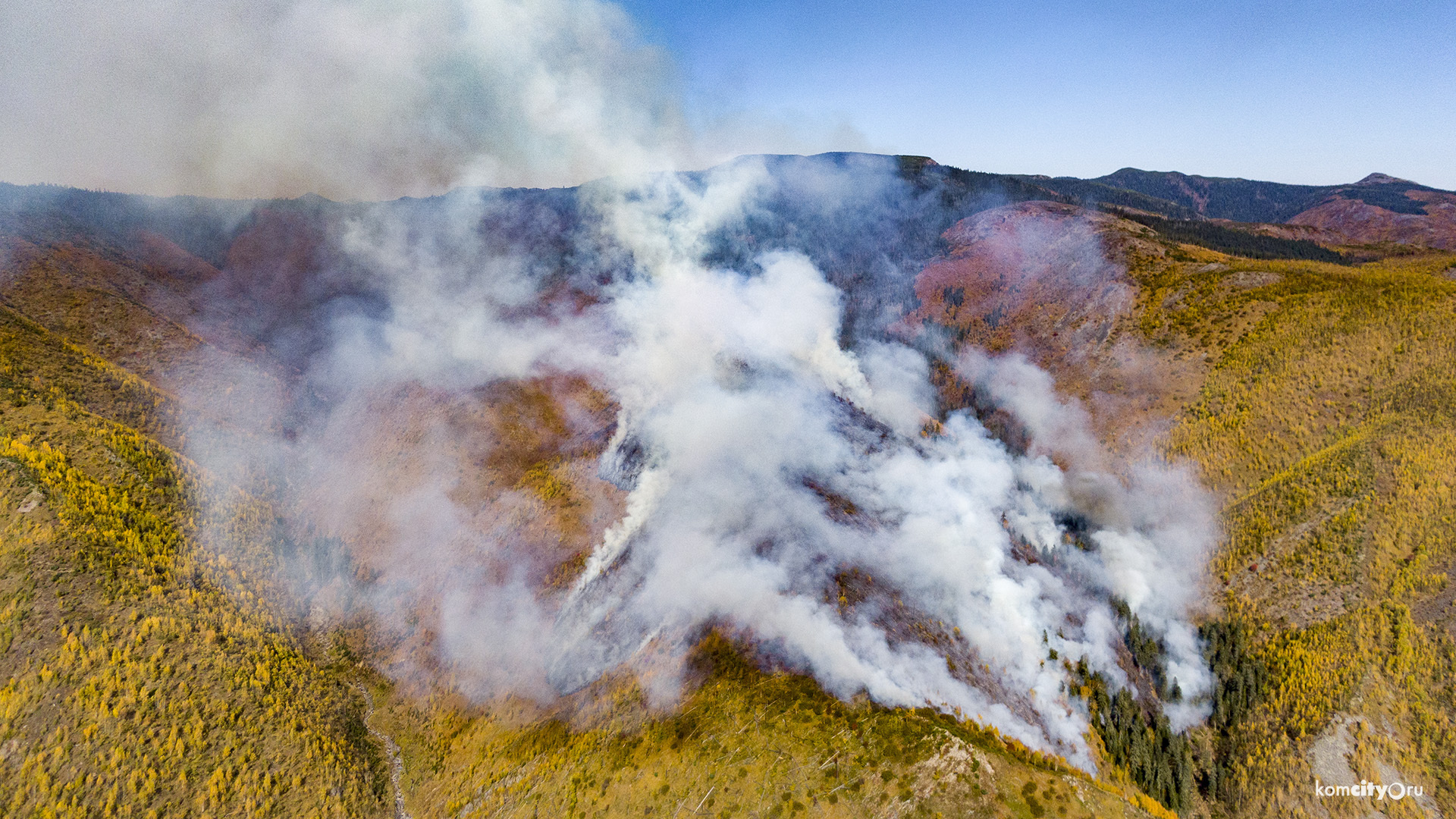 Краевые власти заявили о ликвидации лесного пожара в Горном