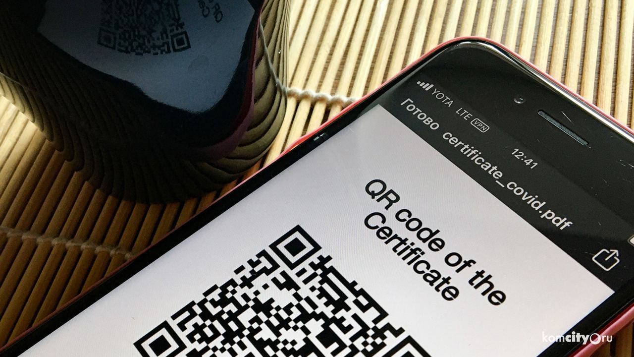 В Хабаровском крае введут QR-коды в ночных и фитнес клубах, гостиницах и кафе