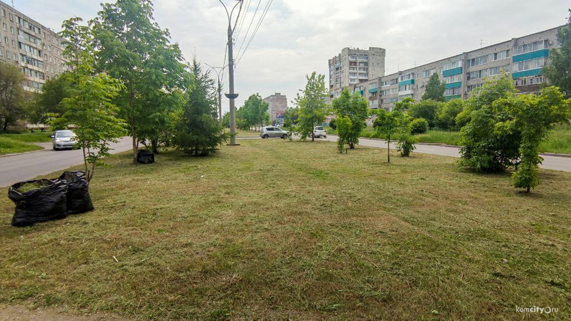 Подрядчик ответил на критику главы города по ситуации с покосом травы в Комсомольске — и всё оказалось куда занятнее…