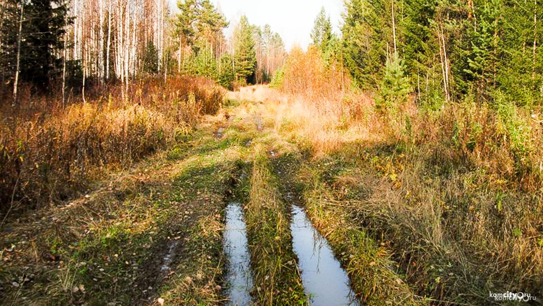 Первые пошли — в районе Хорпинки спасатели отыскали заблудившихся собирателей дикоросов