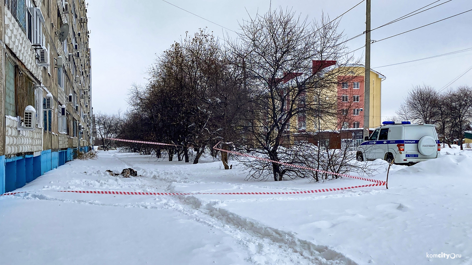 Братоубийцу, выкинувшего тело жертвы с балкона, приговорили к восьми годам колонии