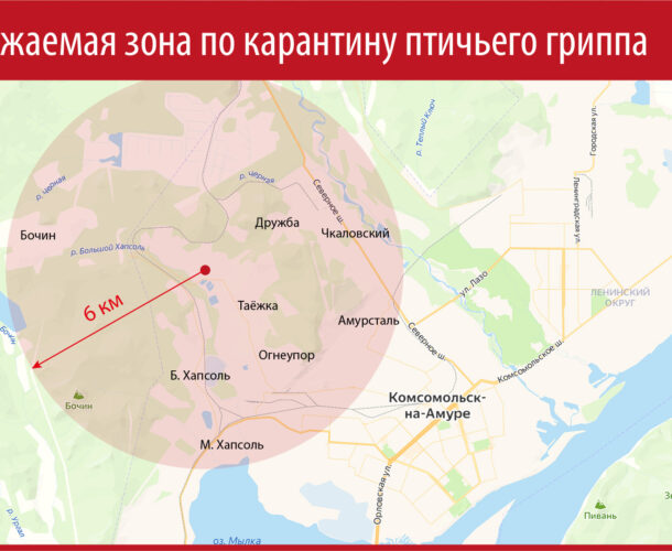 В зону карантина по птичьему гриппу попали многие крупные городские посёлки