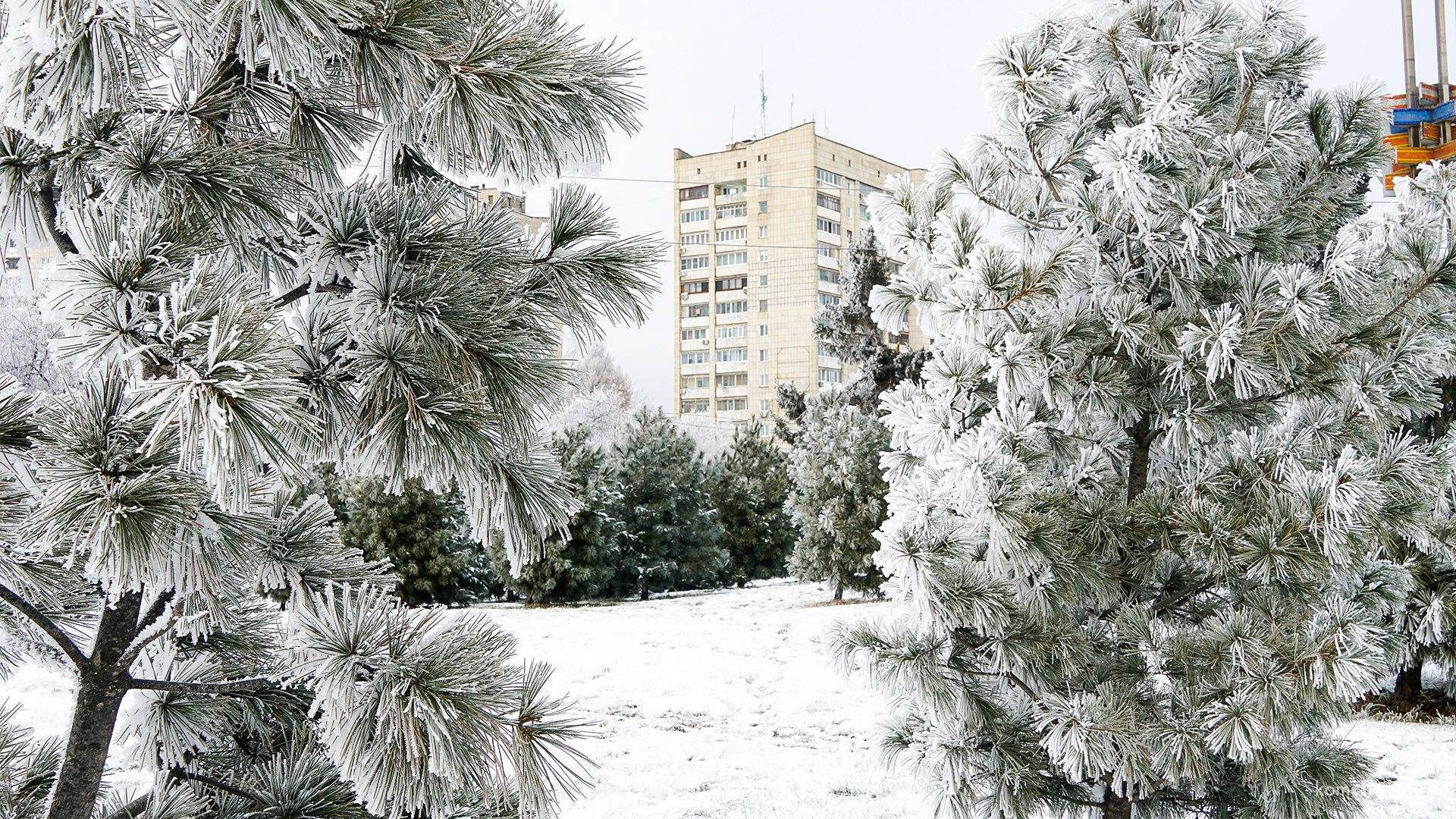 Очень холодно, зато красиво — Фоторепортаж заиндевелого комсомольского утра