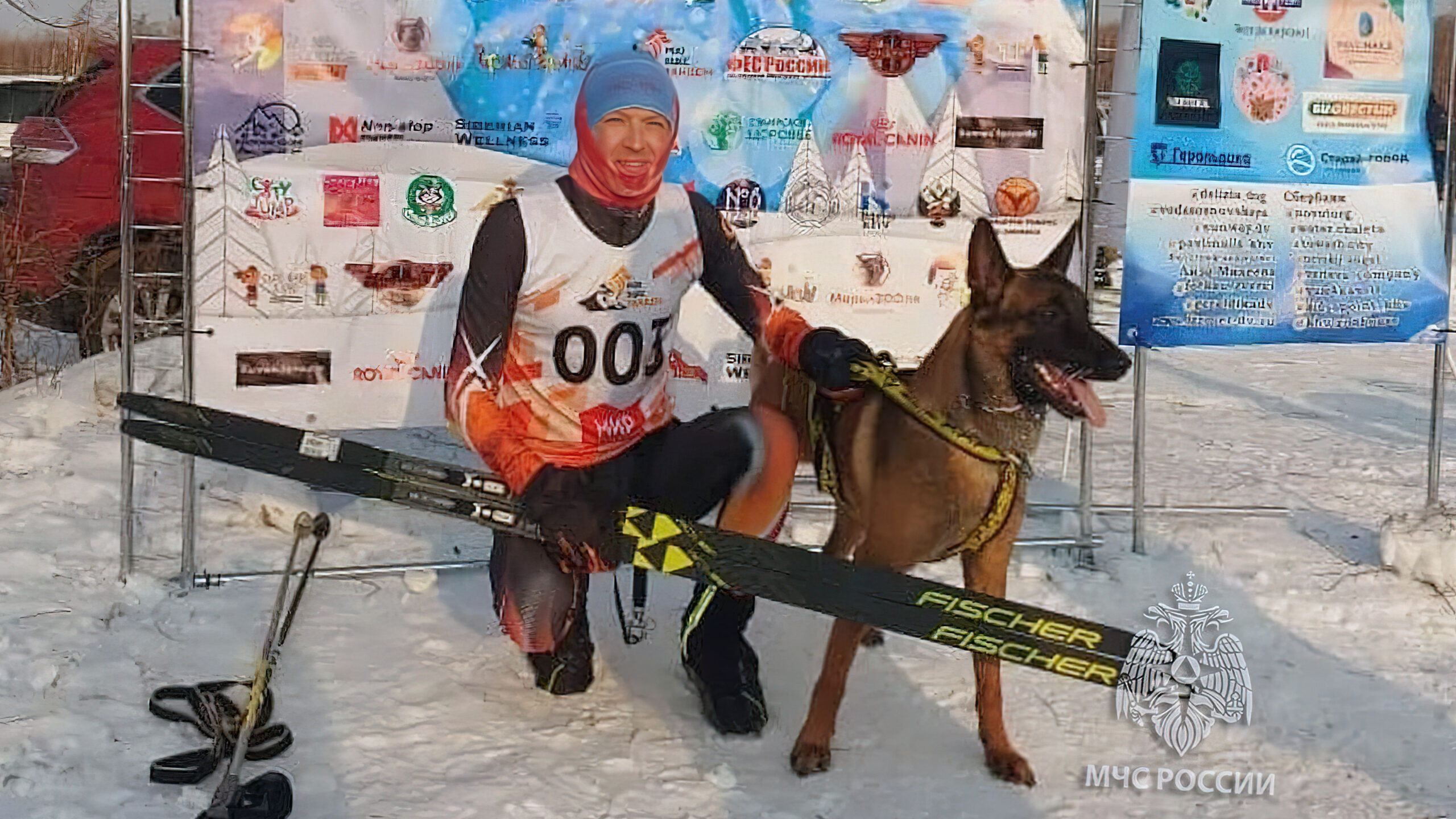 Комсомольчане и их собаки стали призёрами «Амурской метели»